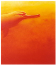 Flussdelphine (1999) - Original 120x120