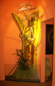 Terrarium 11 Chamaeleon